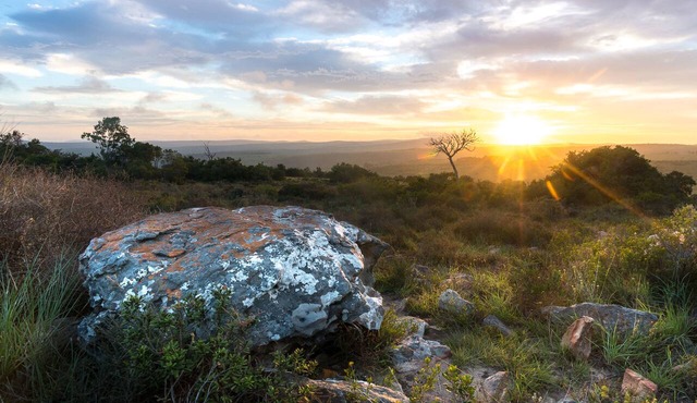 Shamwari Eagles Crag in Paterson