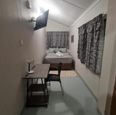 Southernwood nest in East London