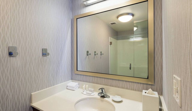 SpringHill Suites by Marriott Louisville Downtown in Louisville