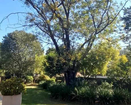 Stella's Place in Johannesburg