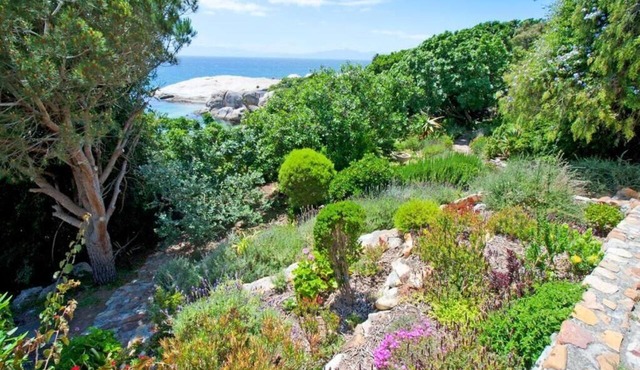 Stunning Boulders Beach house in Cape Town