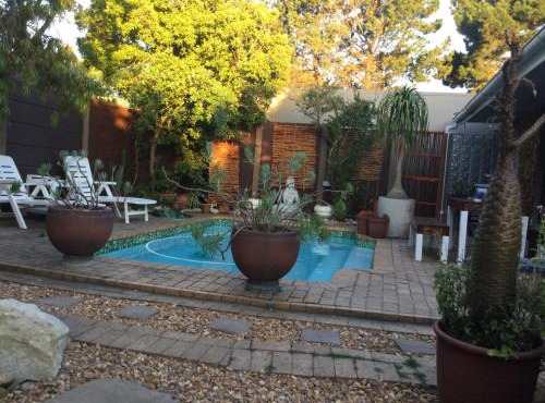 The Buddha Garden in Cape Town