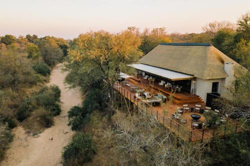 Thornybush Simbambili Lodge in Sabi Sand Game Reserve