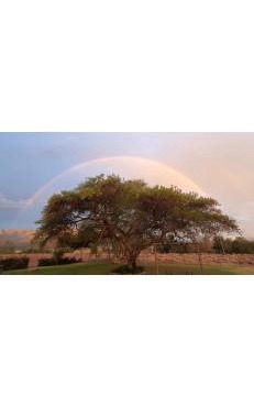 Vredelus Farm Stay Family Cottage in De Rust