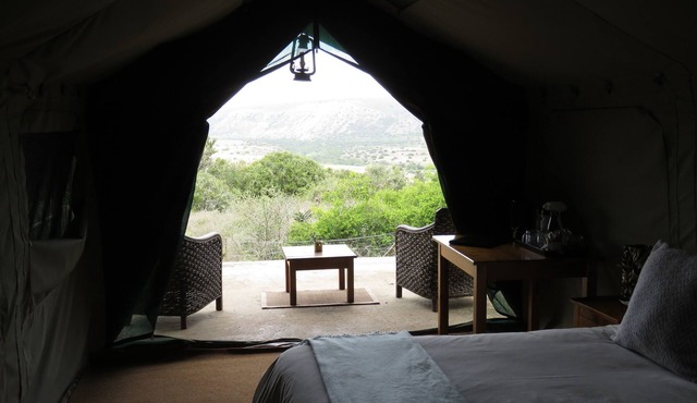 Woodbury Tented Camp - Amakhala Game Reserve in Sidbury