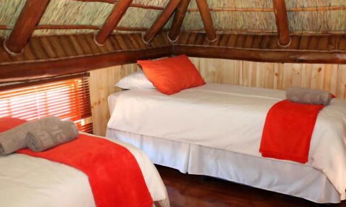 Springbok Cabin | Sperrgebiet Lodge