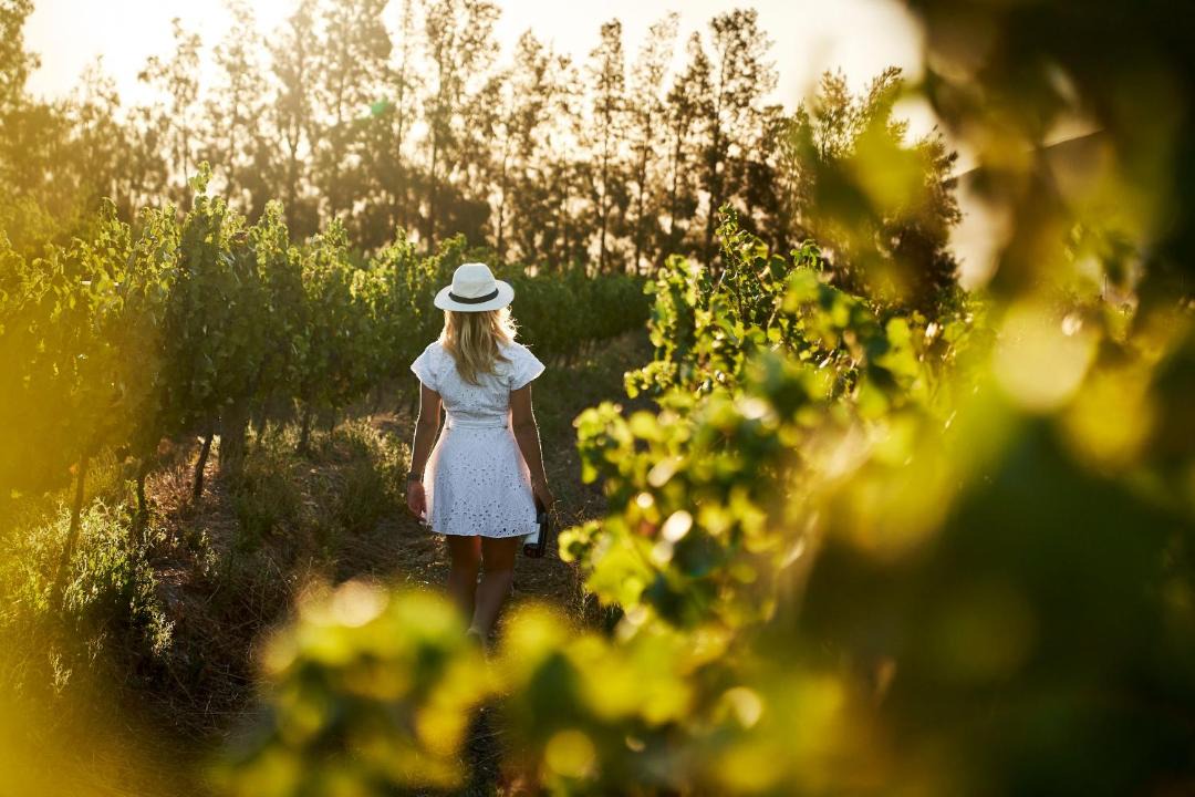 Tulbagh Hotel | Rijk's Wine Estate & Guesthouse