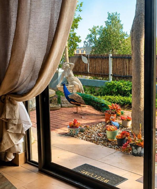 Gordon's Bay Hotel | Peacock Cove Self Catering Studio