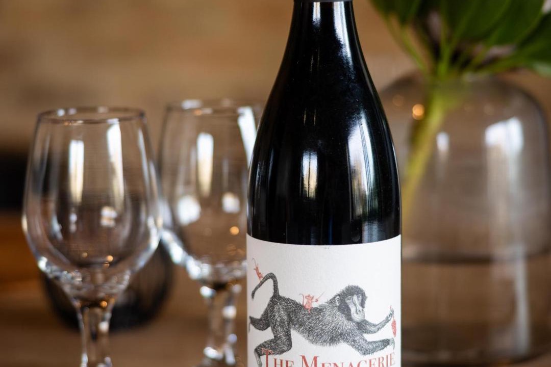 Cape Winelands House | Camissa Farm