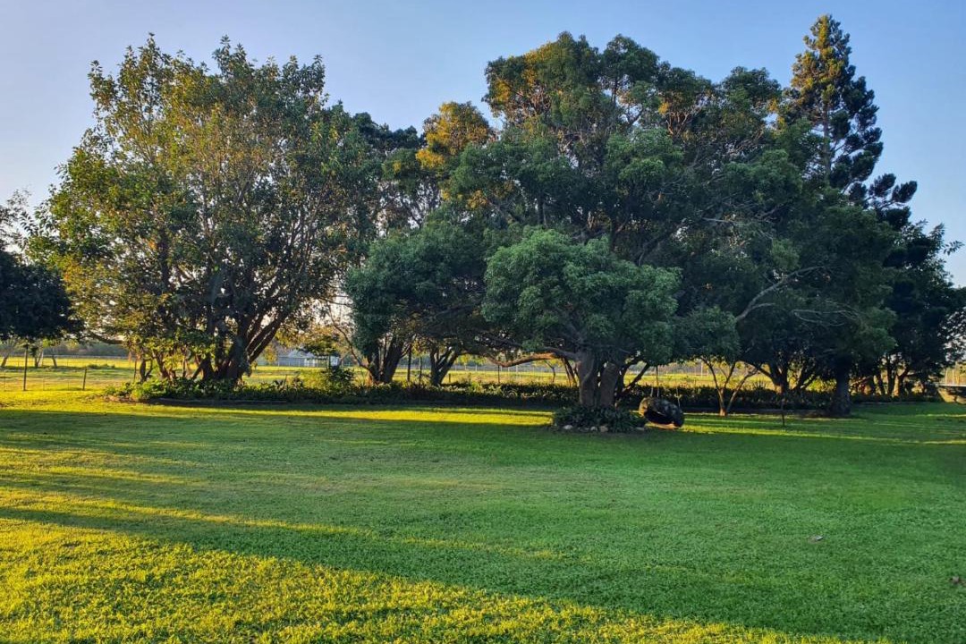 Port Elizabeth House | Wild Aloe Homestead