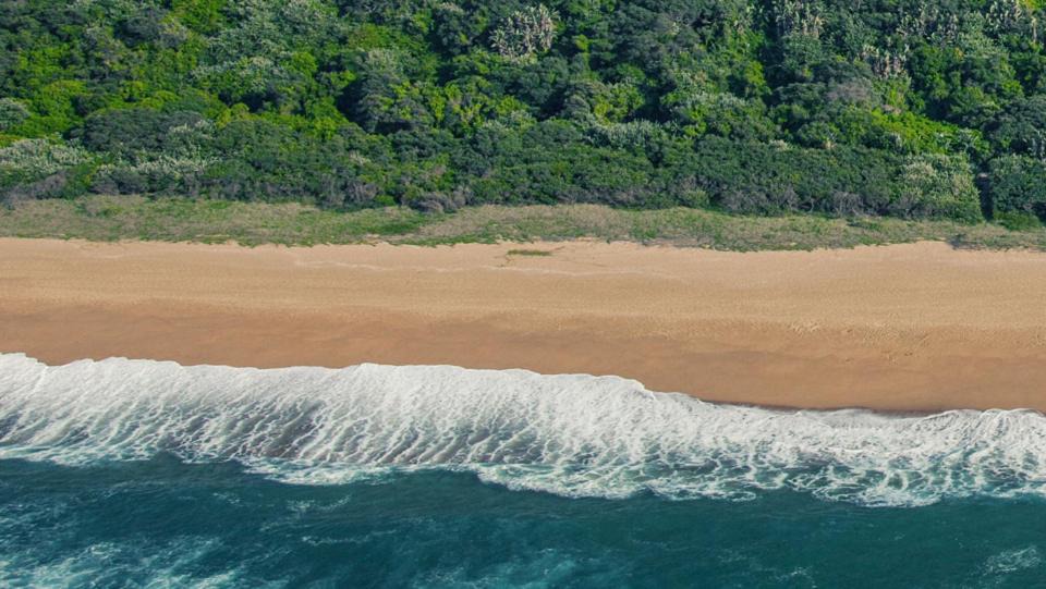 Port Zimbali Apartment | Zimbali Luxe Retreat