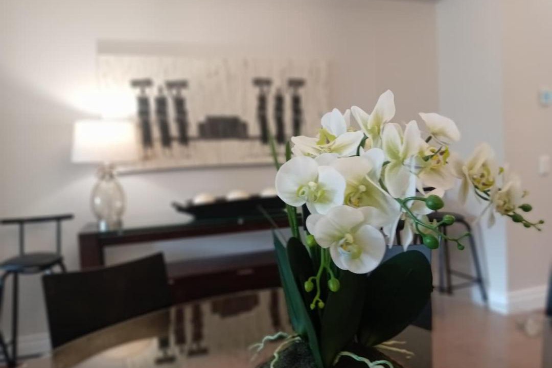 Green Point Apartment | Perfectly Located Cape Royale Apartment