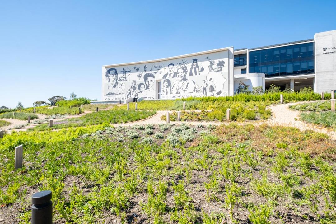 Observatory Apartment | 430 Riverlands - Studio Apartment with AC and Parking