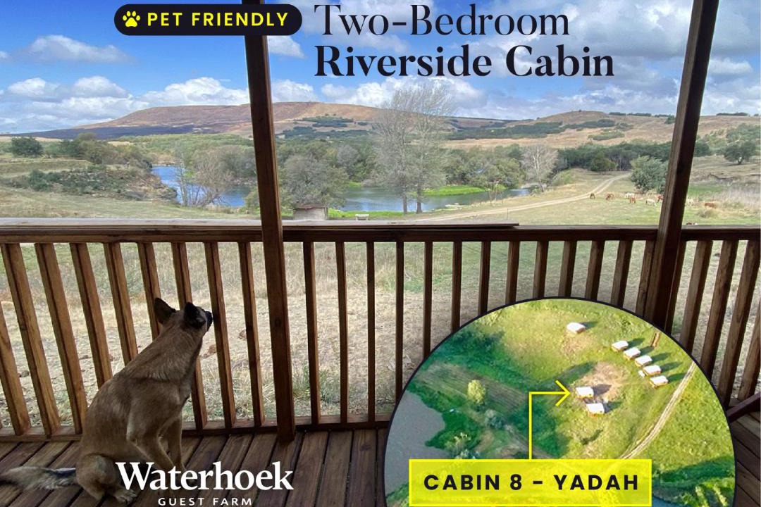 Mpofana Other | Waterhoek Guest Farm