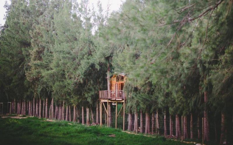 Tulbagh House | Vindoux Tree House Guest Farm & Spa