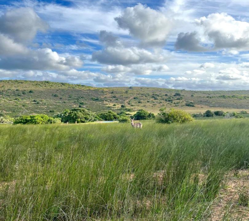 Hessequa Apartment | Baardbos Private Game Reserve