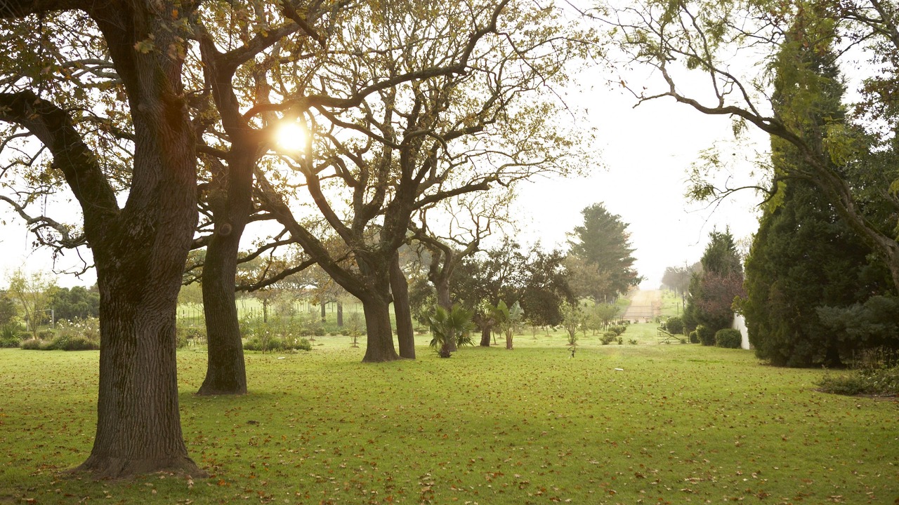 Photo of Outdoor in Koelenhof