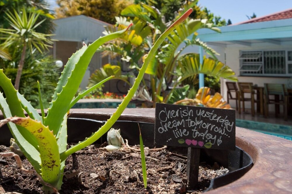 Photo of Outdoor in Somerset West