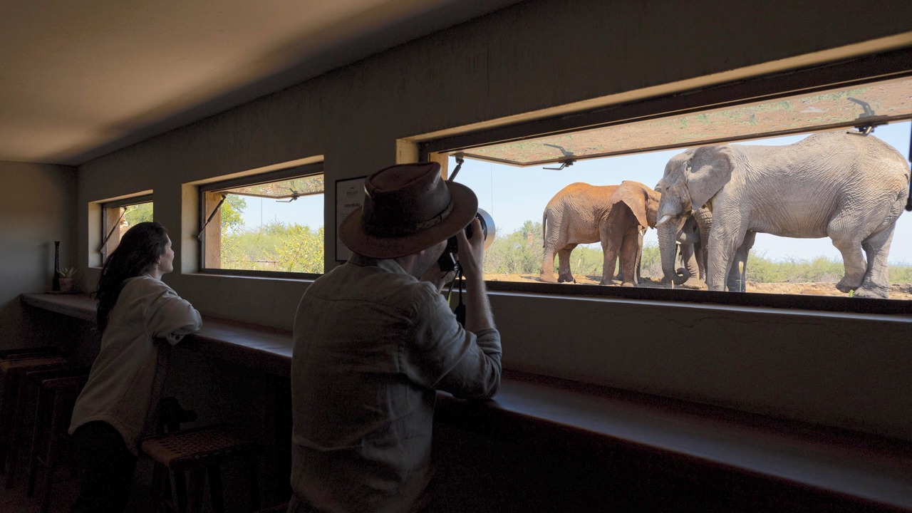 Photo of Others in Madikwe Game Reserve