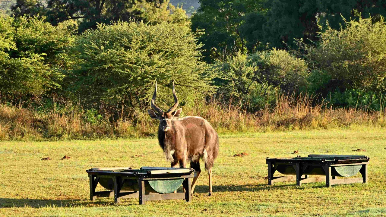 Photo of Outdoor in Rustenburg