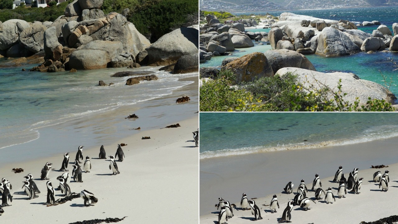 Photo of Outdoor in Simon's Town