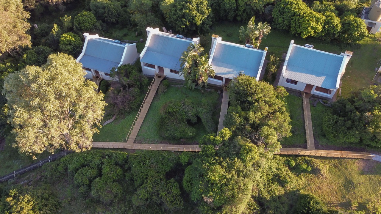 Photo of Outdoor in Oyster Bay