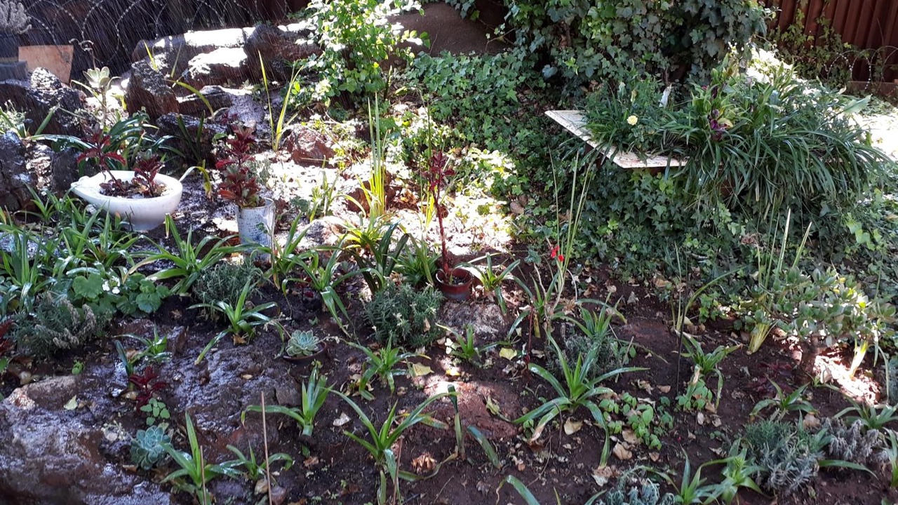 Photo of Outdoor in Houghton Estate