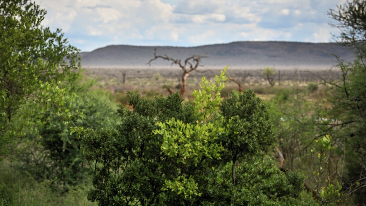 Photo of Outdoor in Madikwe Game Reserve