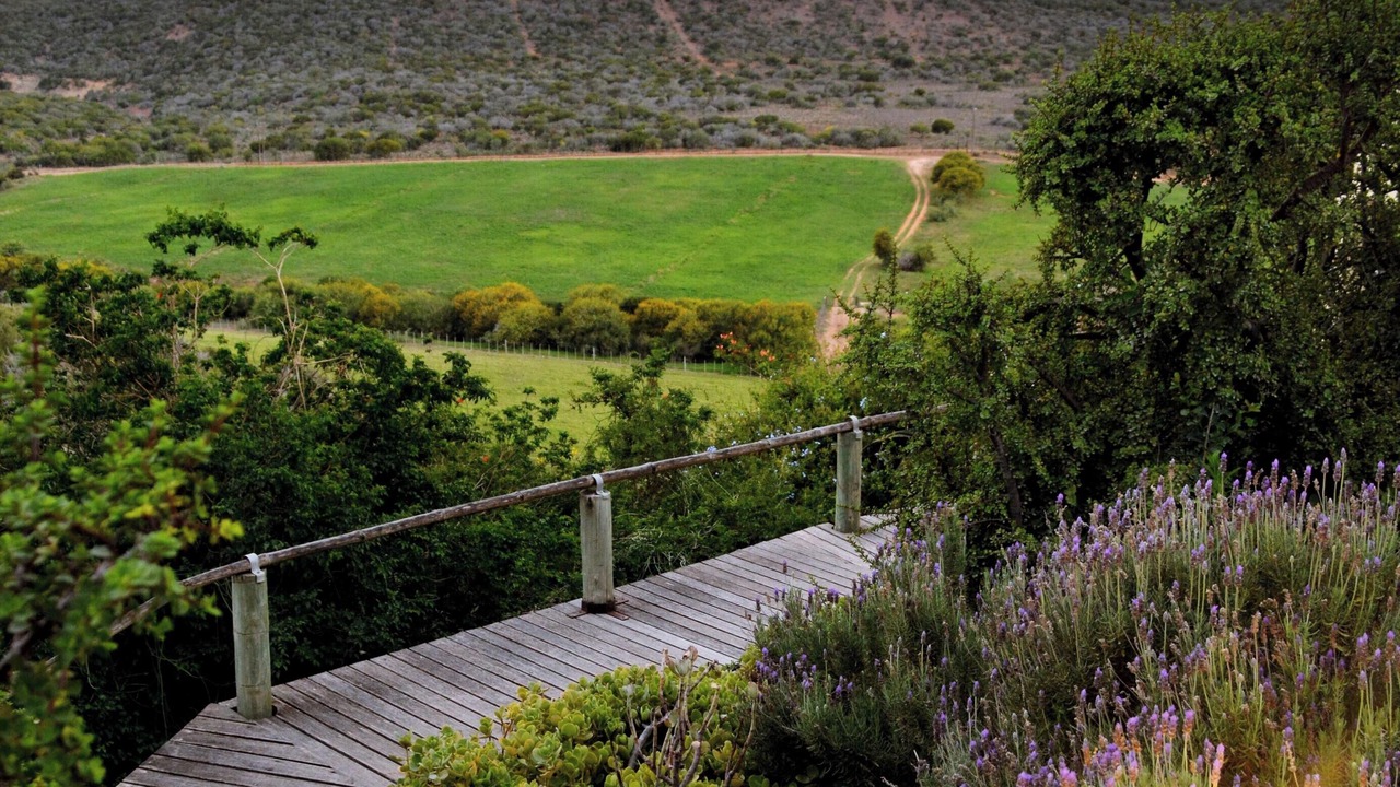 Photo of Outdoor in Addo