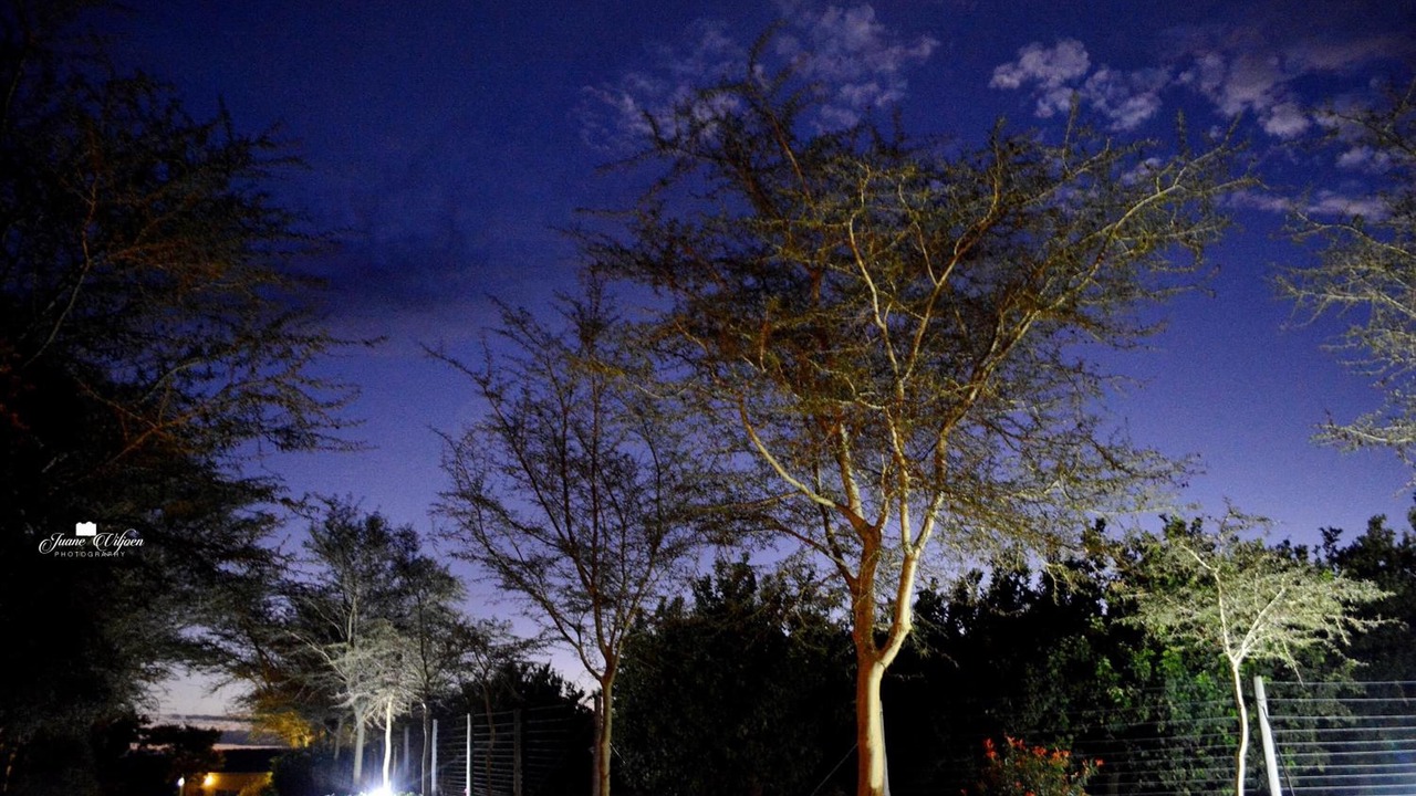 Photo of Outdoor in Addo