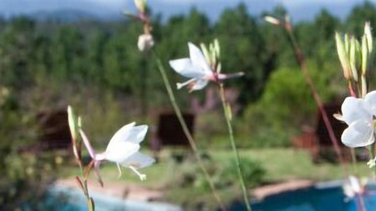 Photo of Outdoor in Buffalo Hills Game Reserve