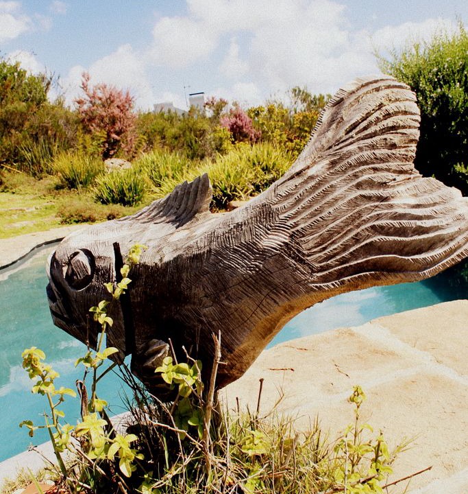 Photo of Outdoor in Buffalo Hills Game Reserve