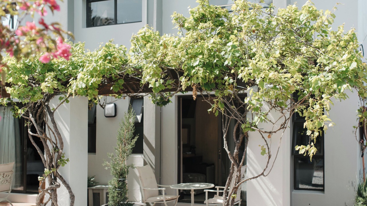 Photo of Patio Balcony in Eastcliff