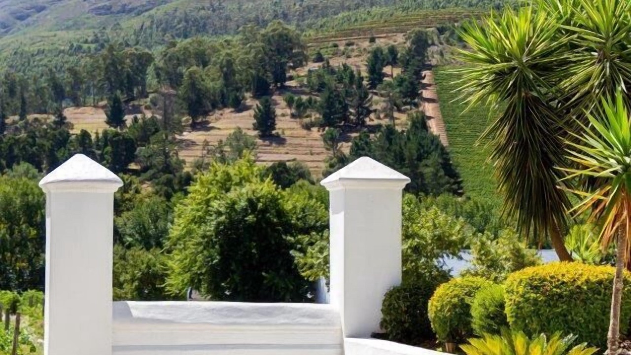 Photo of Others in Cape Winelands