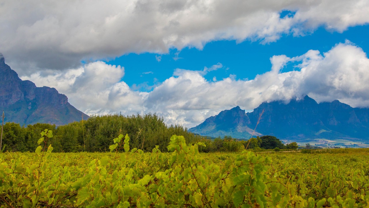 Photo of Others in Franschhoek