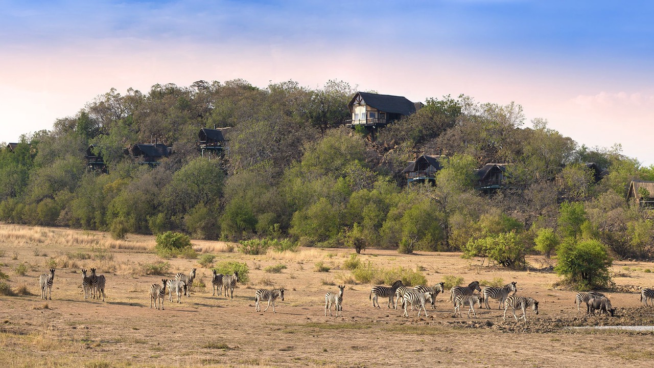 Photo of Outdoor in Pilanesberg National Park