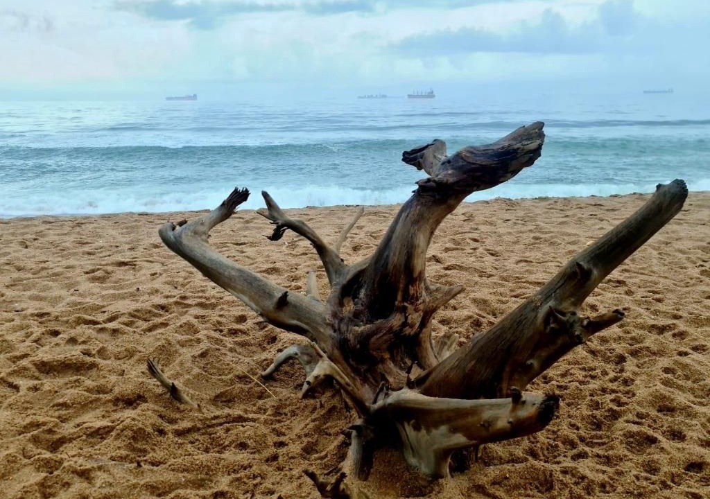Photo of Others in Umhlanga