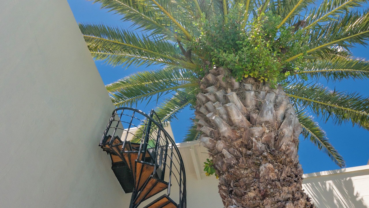 Photo of Outdoor in Cape Town