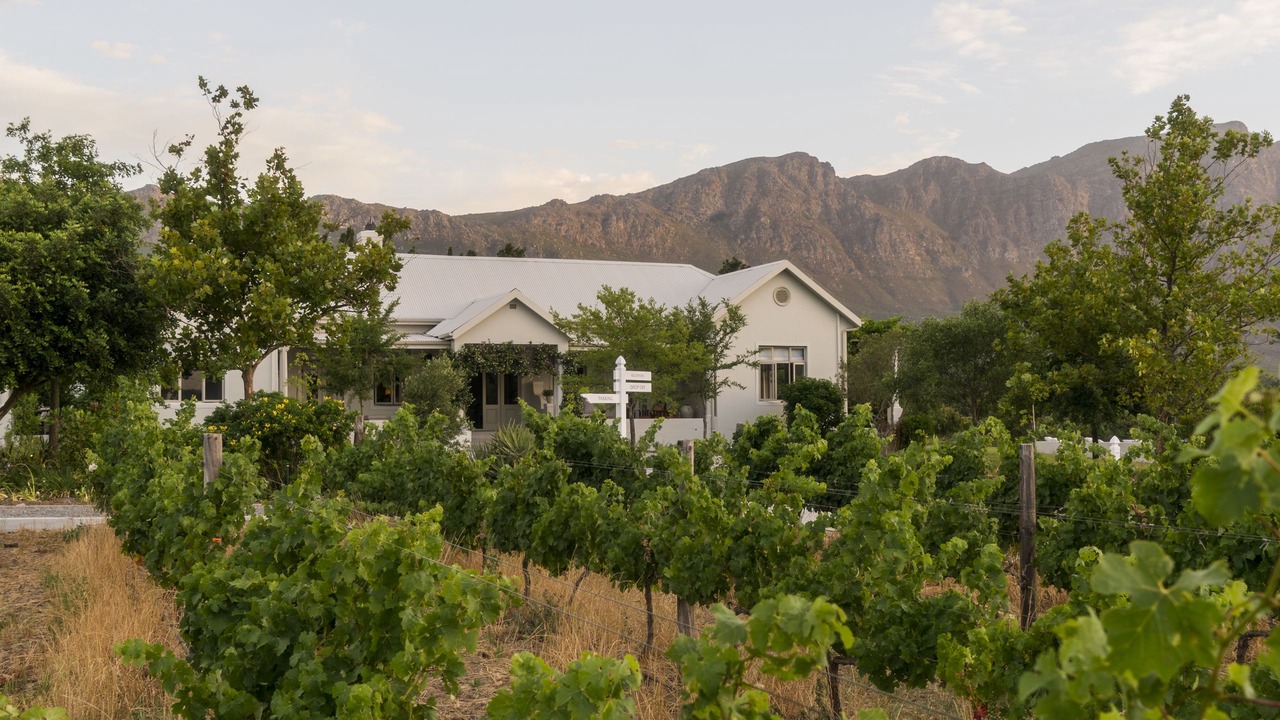 Photo of Outdoor in Franschhoek