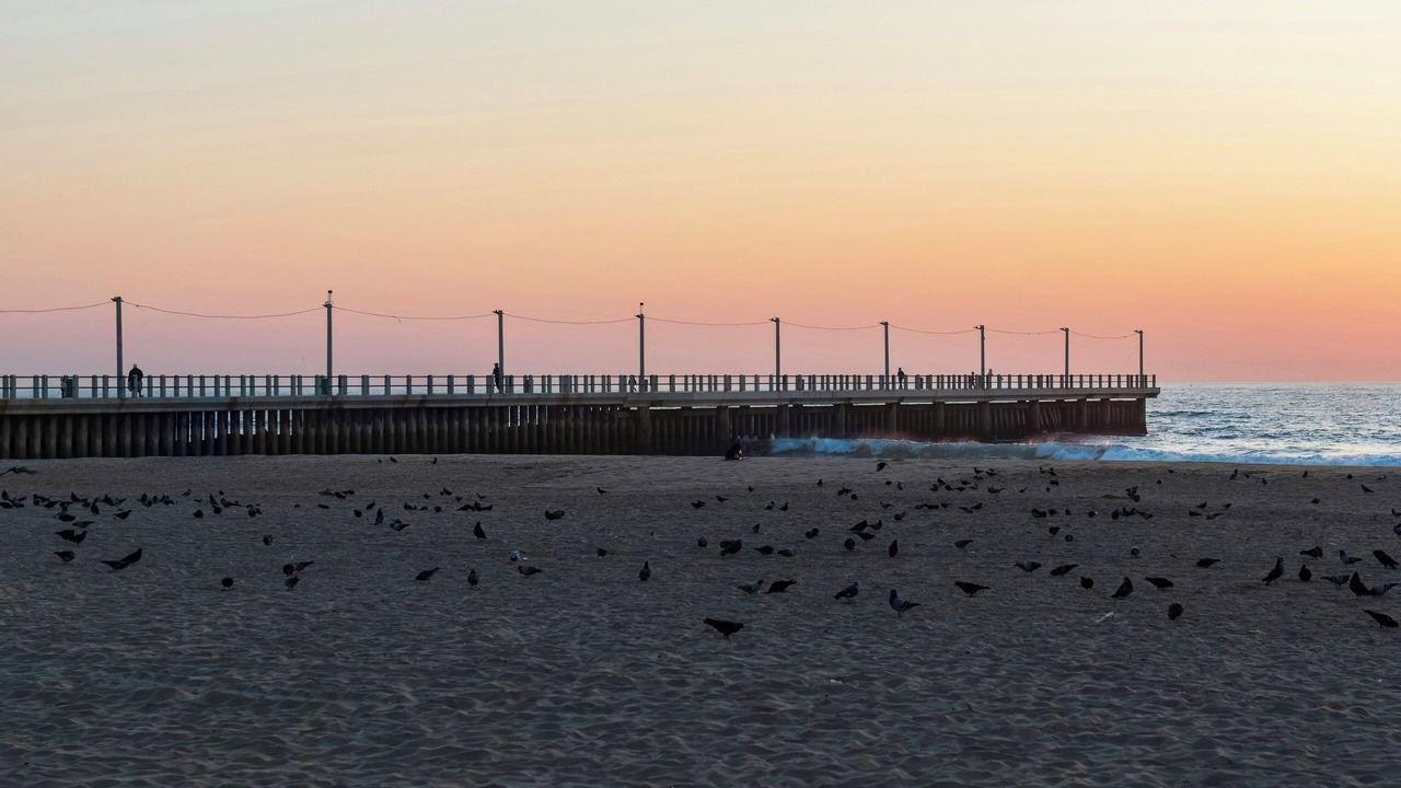 Photo of Others in Durban