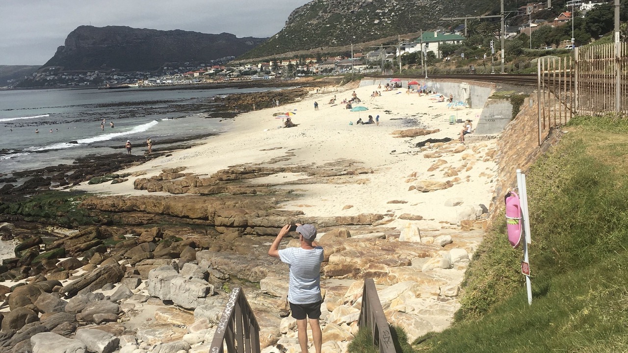 Photo of Others in Tokai