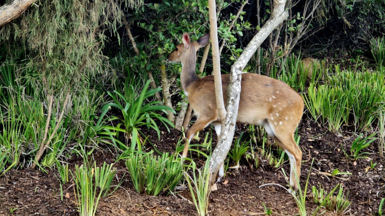 Photo of Outdoor in Herolds Bay