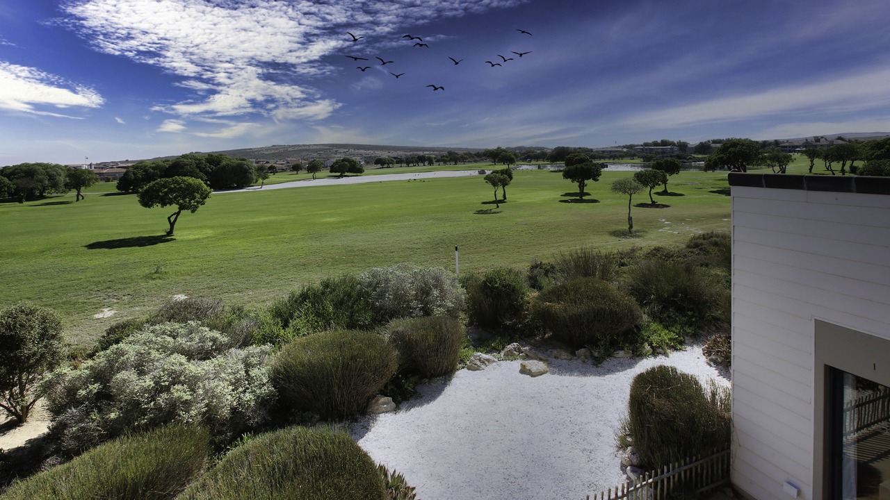 Photo of Others in Langebaan