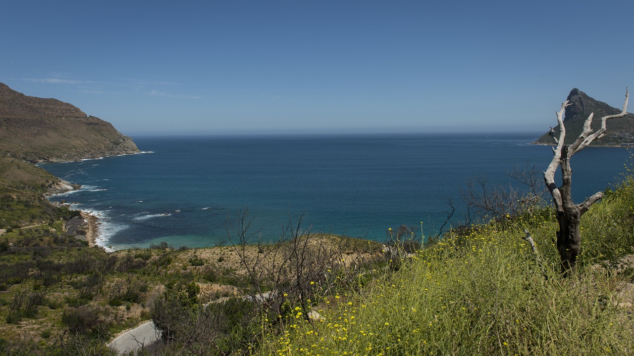 Photo of Others in Simon's Town