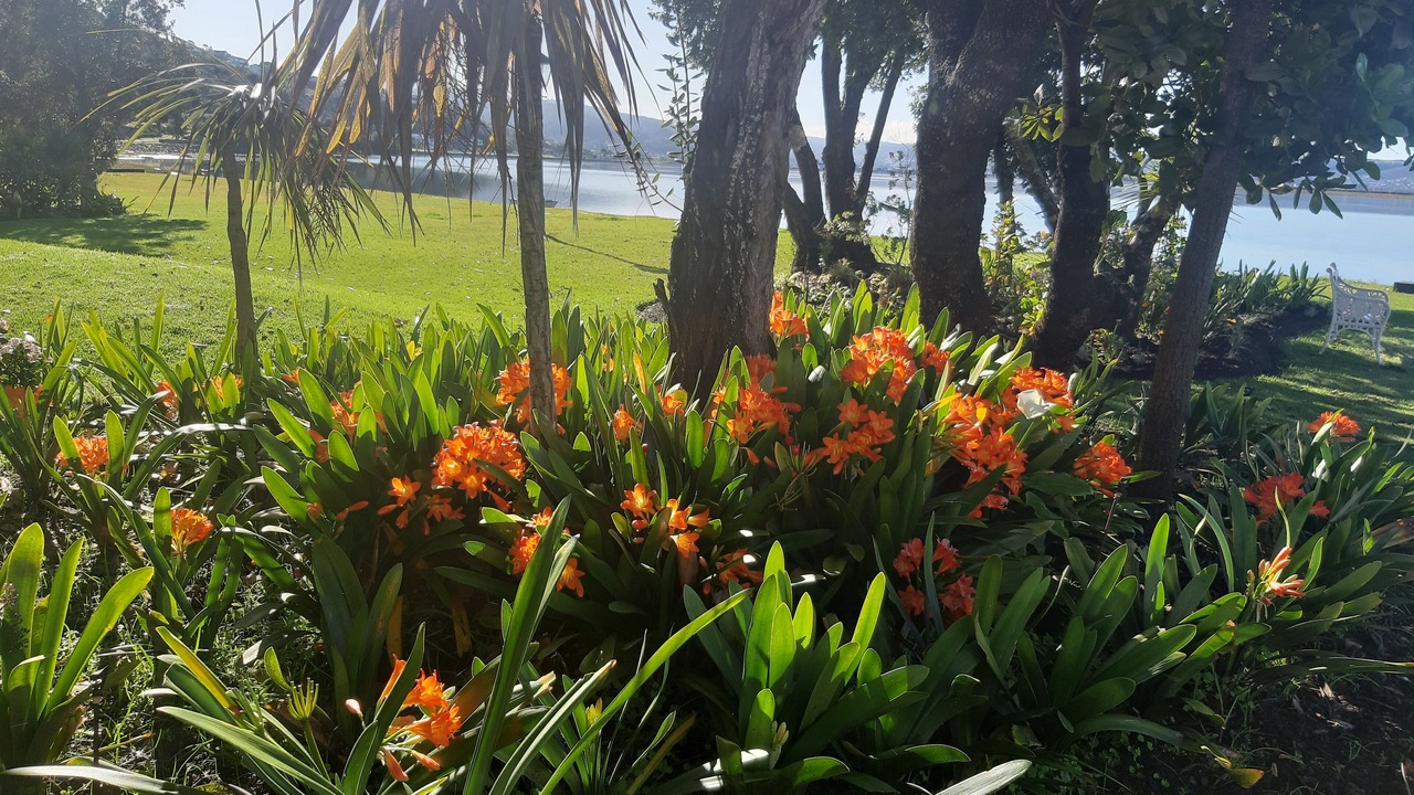 Photo of Outdoor in Knysna