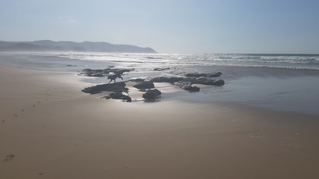 Photo of Others in Knysna