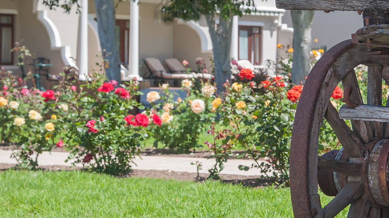 Photo of Outdoor in Constantia