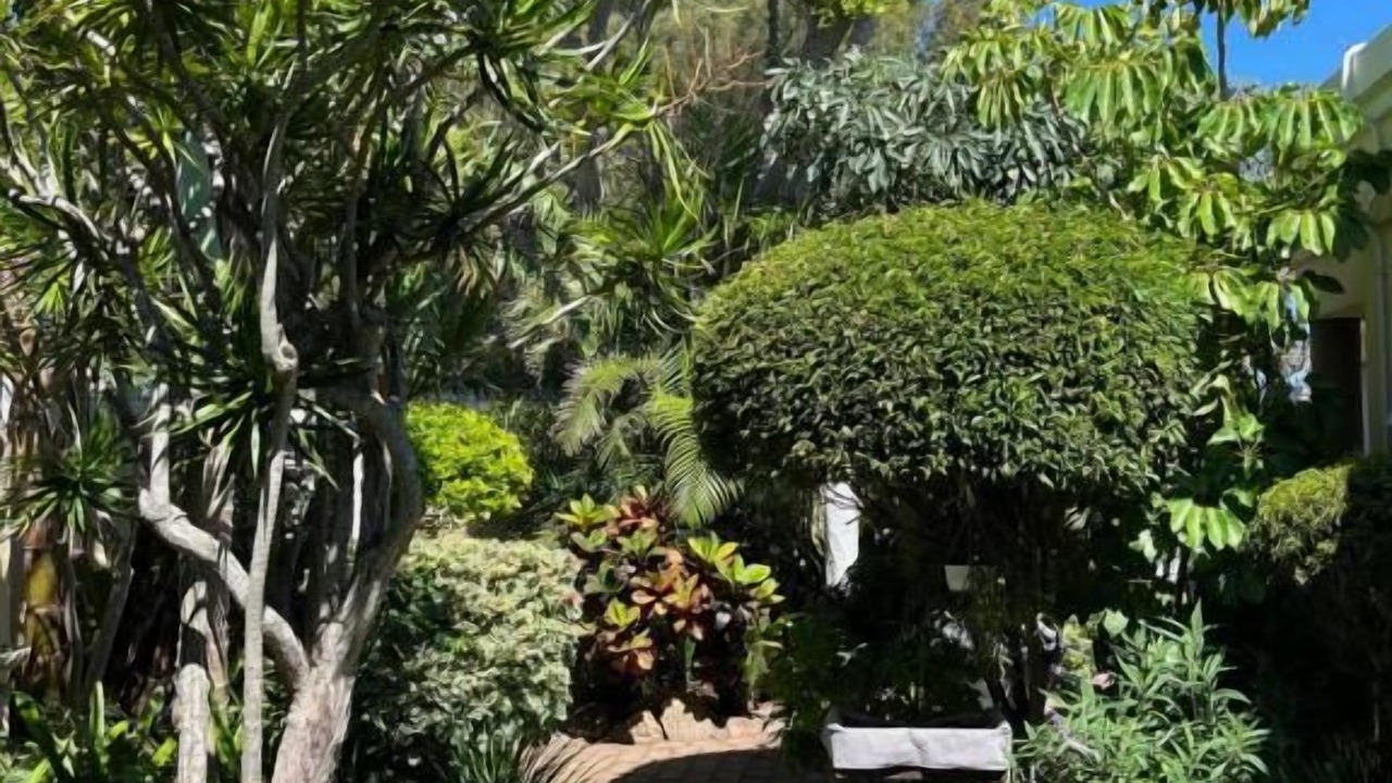Photo of Outdoor in Summerstrand