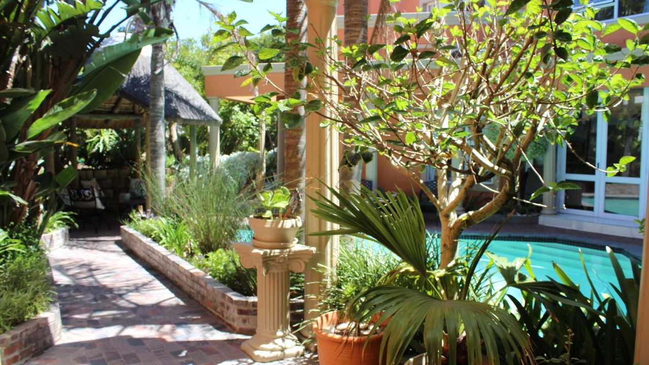 Photo of Outdoor in Sunset Beach
