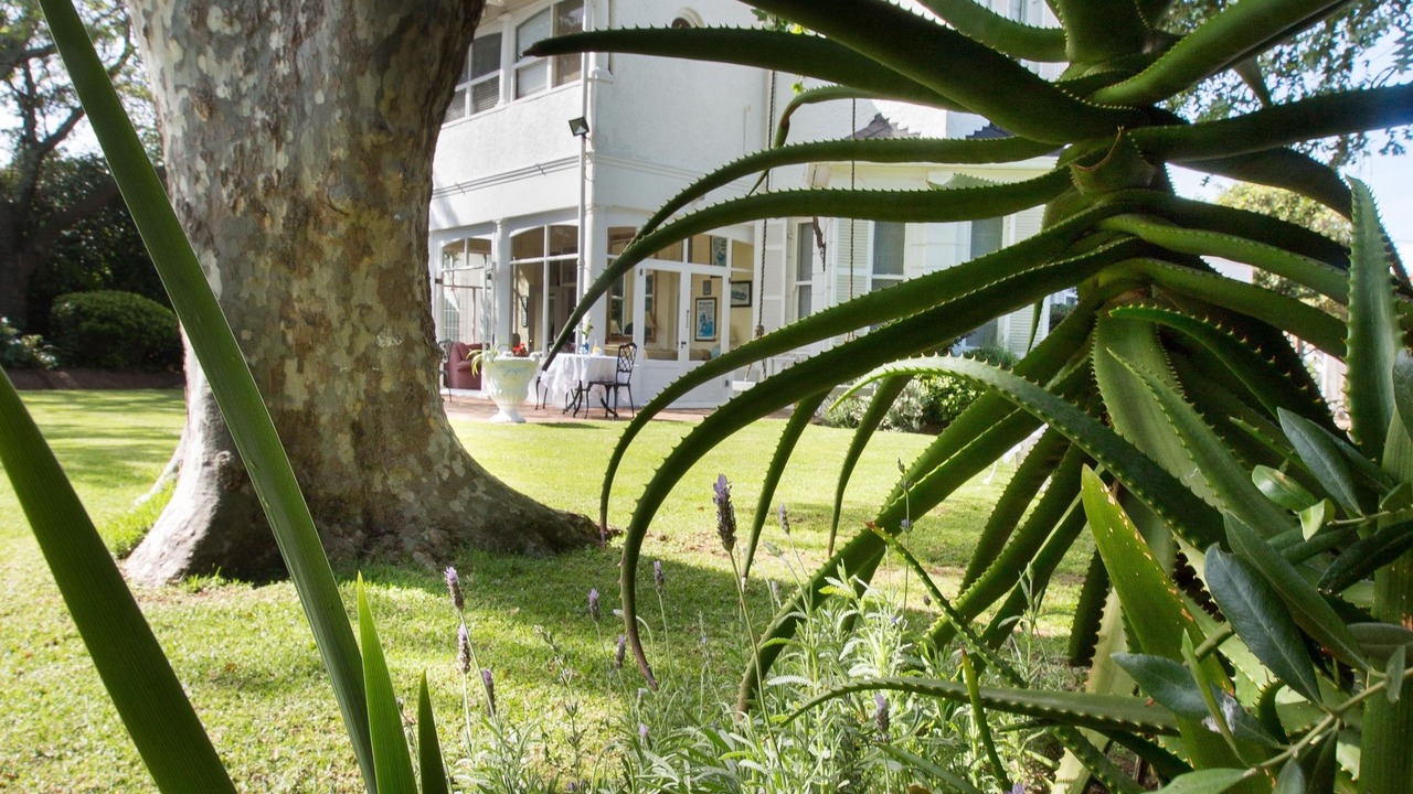 Photo of Outdoor in Rosebank